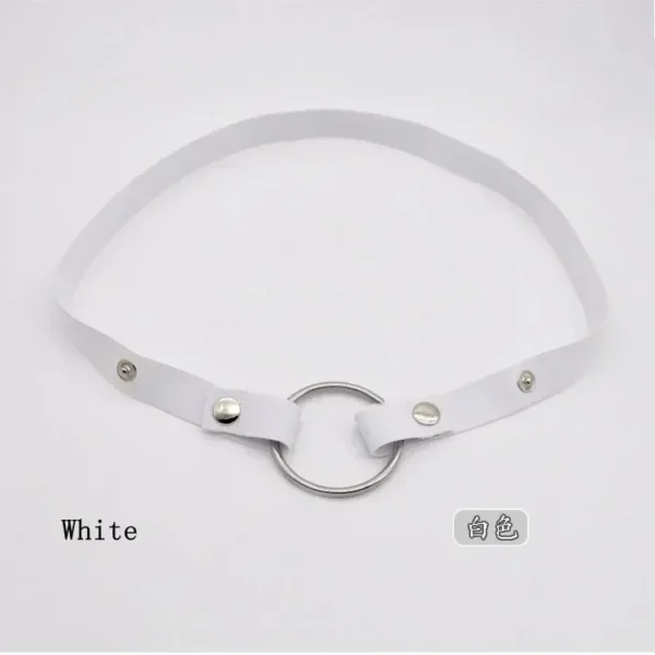 accessoire érotique ceinture de chasteté