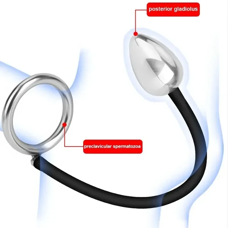 anneau vibrant anal en acier inoxydable