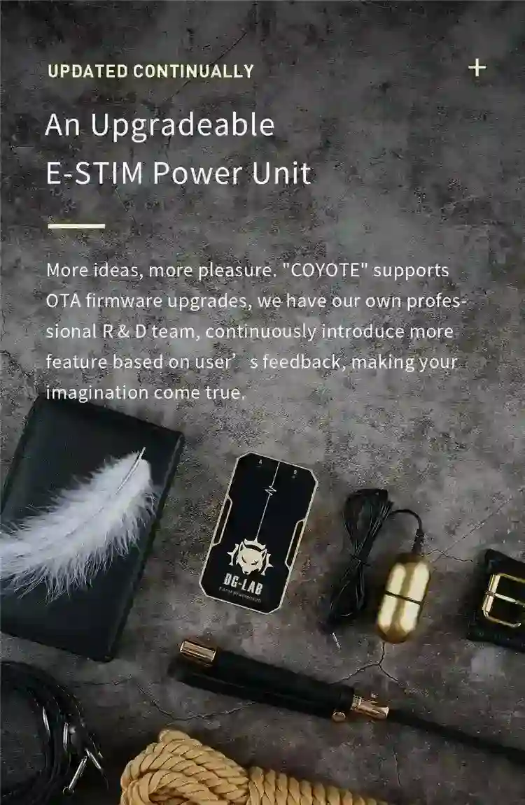 appareil delectrostimulation bdsm avec application