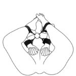 bandeau pour les yeux en dentelle noire