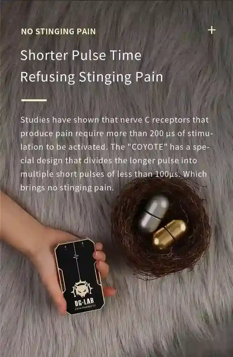 boitier de puissance bdsm rechargeable