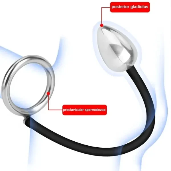 cadeau érotique plug anal acier inoxydable