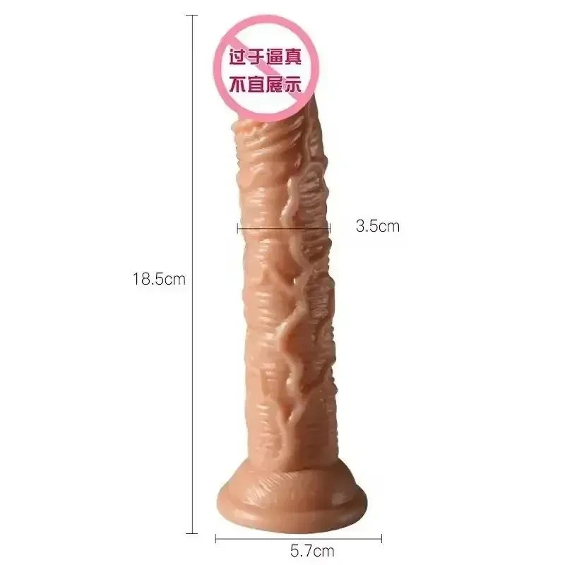dildo réaliste texturé avec ventouse forte