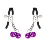 ensemble bdsm collier et pinces rouges