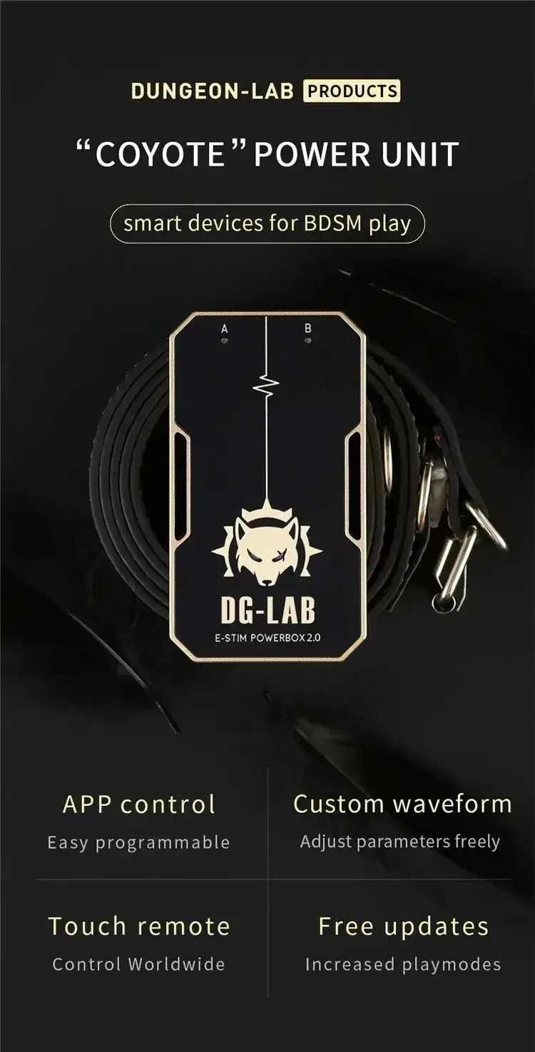 jouet de soumission bdsm avec application