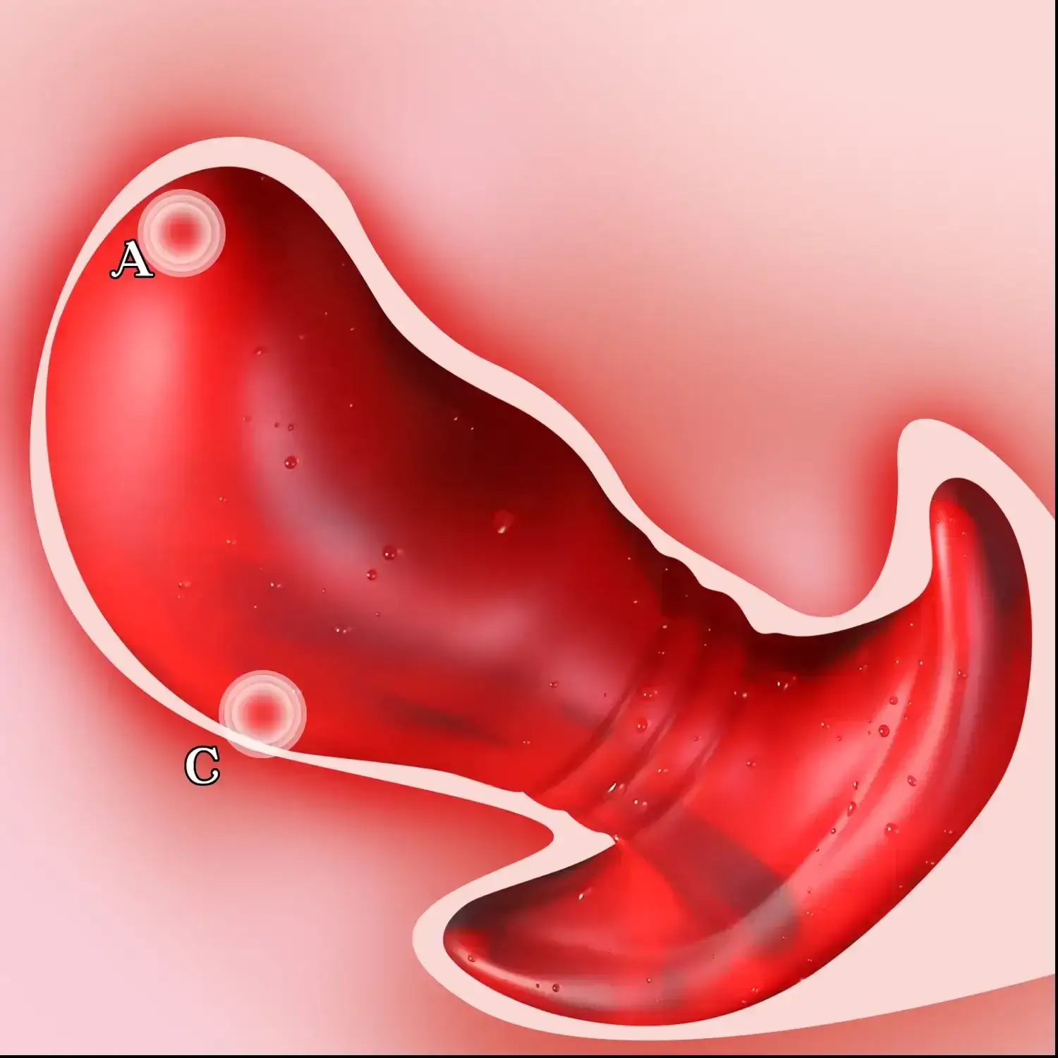 plug anal forme anatomique prostatique