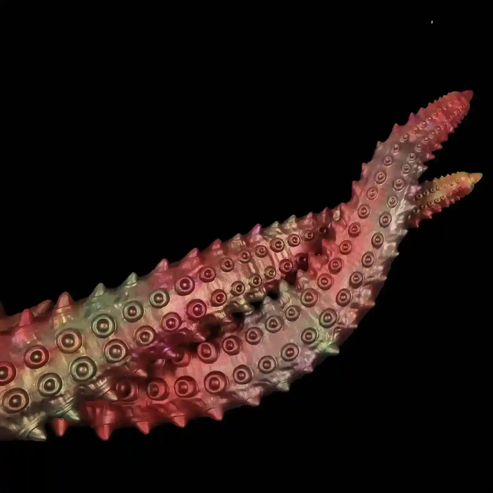 plug anal forme tentacule innovante