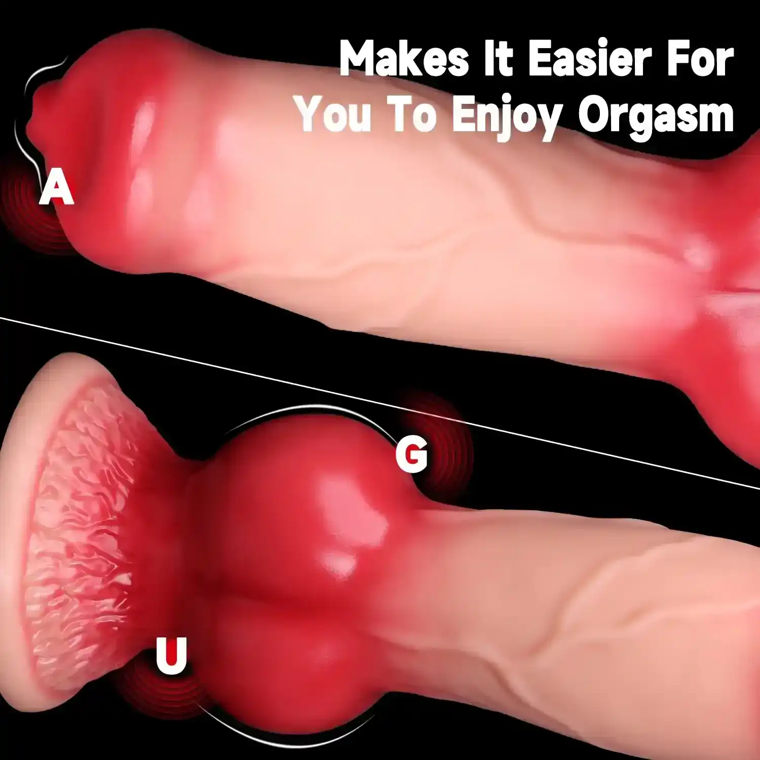 plug anal queue chien realiste