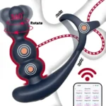 plug anal rotatif double moteur puissant