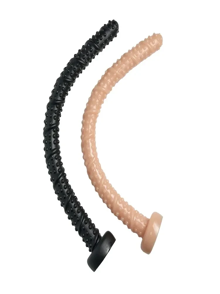 sextoy anal filete pour debutant