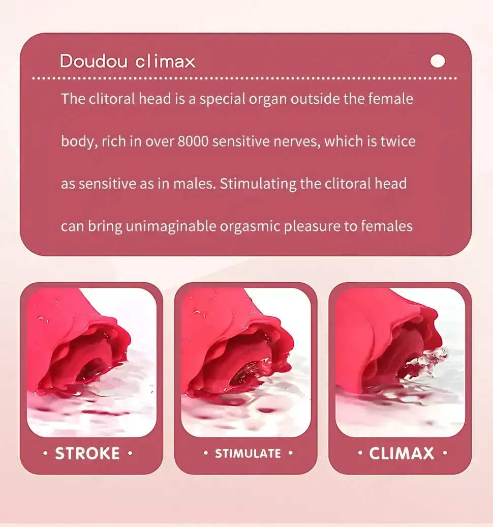 sextoy clitoridien usb etanche silicone