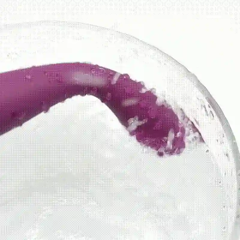 sextoy debutante stimulation point g