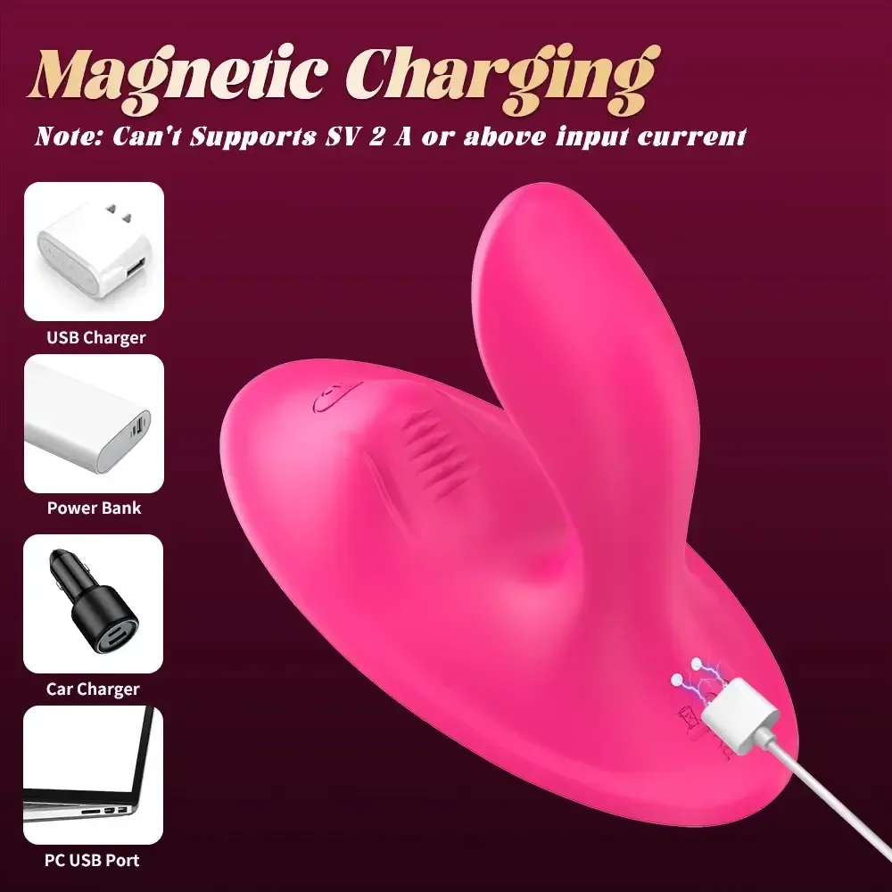 sextoy feminin vibrant controlable application