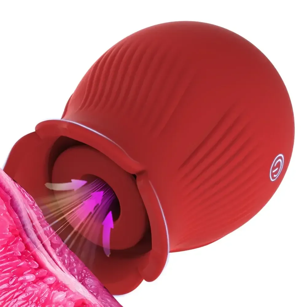 stimulateur clitoridien rose 10 modes