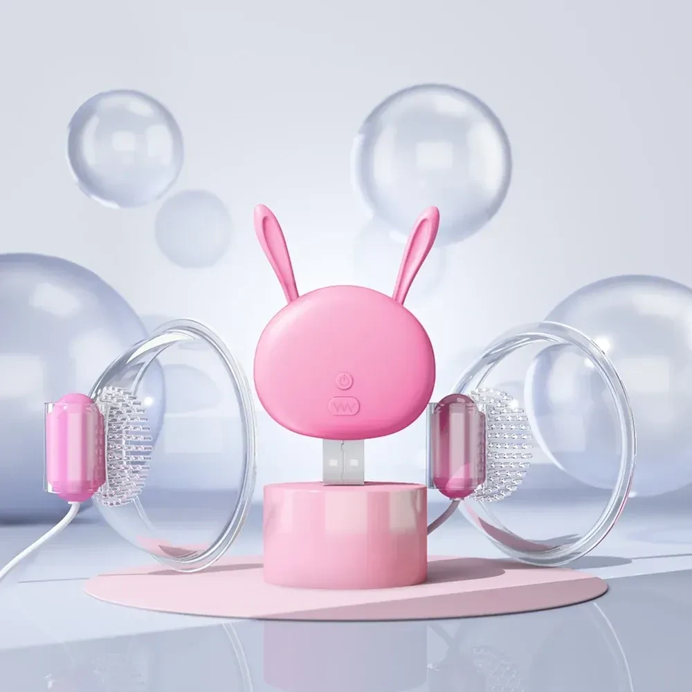 stimulateur clitoridien vibrant usb rechargeable