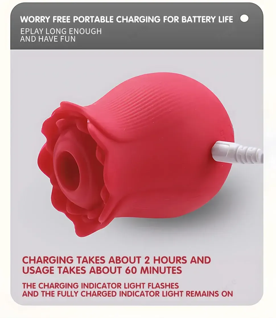 stimulateur clitoris fonctions multiples silicone