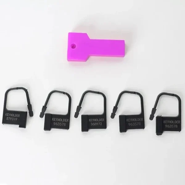 accessoire de chasteté pour rangement sécurisé