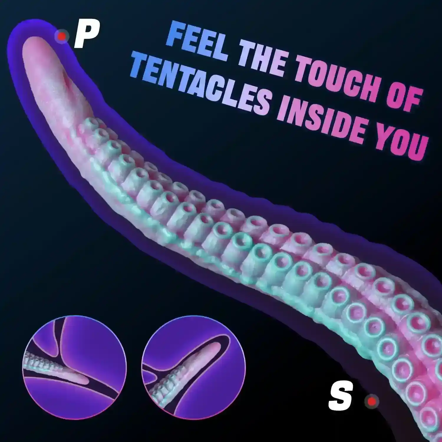 dilatateur anal animal en silicone
