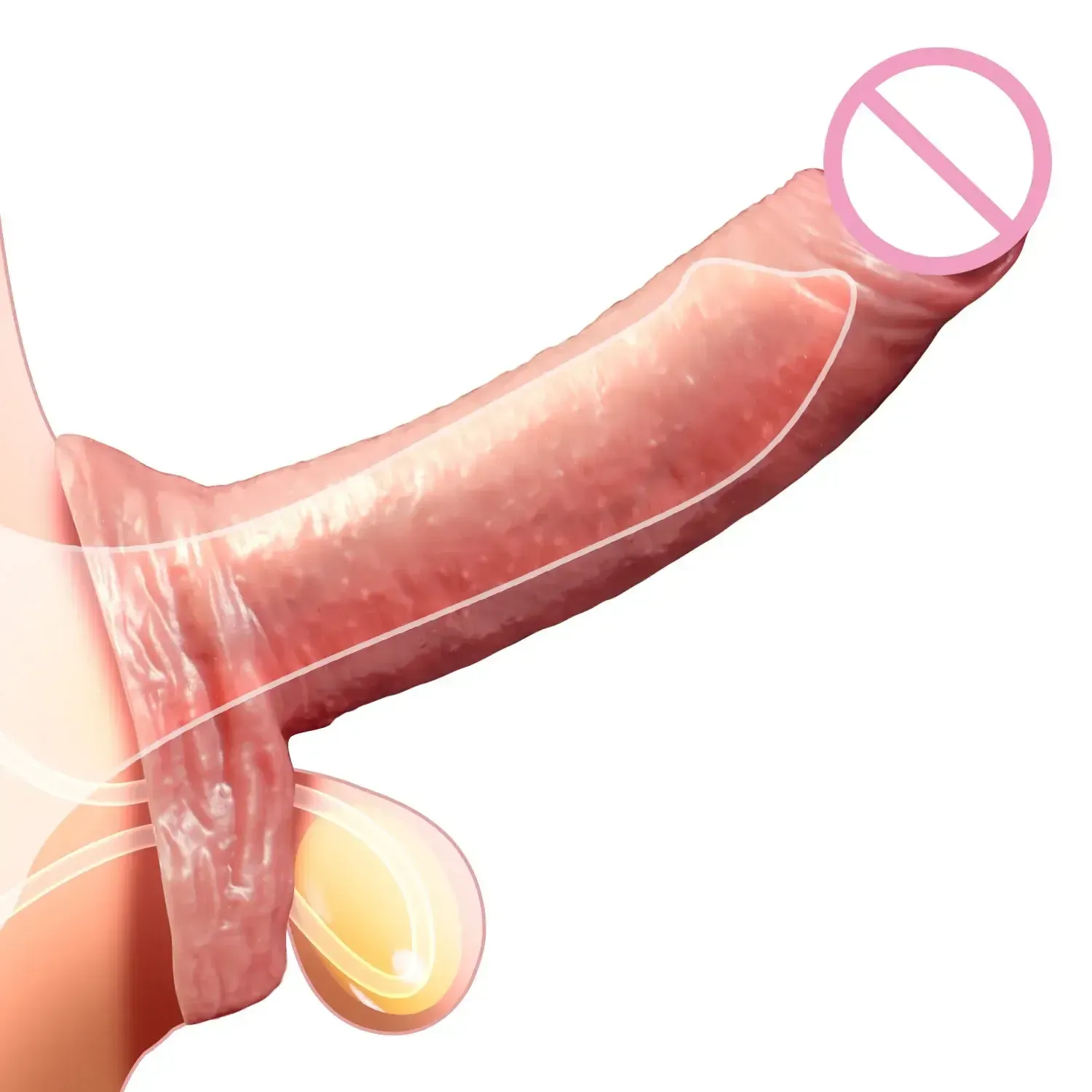 extenseur anal courbe realiste