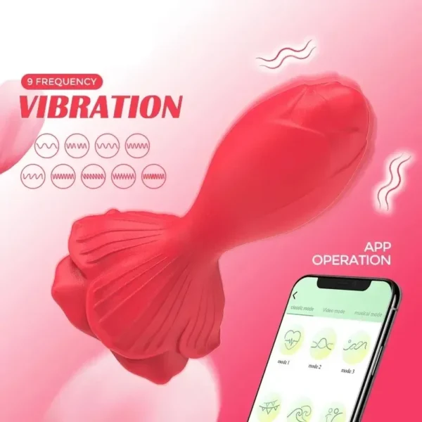 jouet anal discret compatible avec application