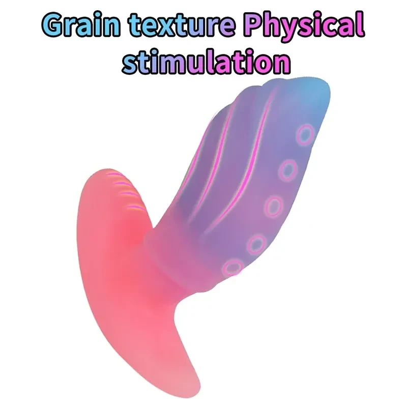 plug anal grand modele en silicone