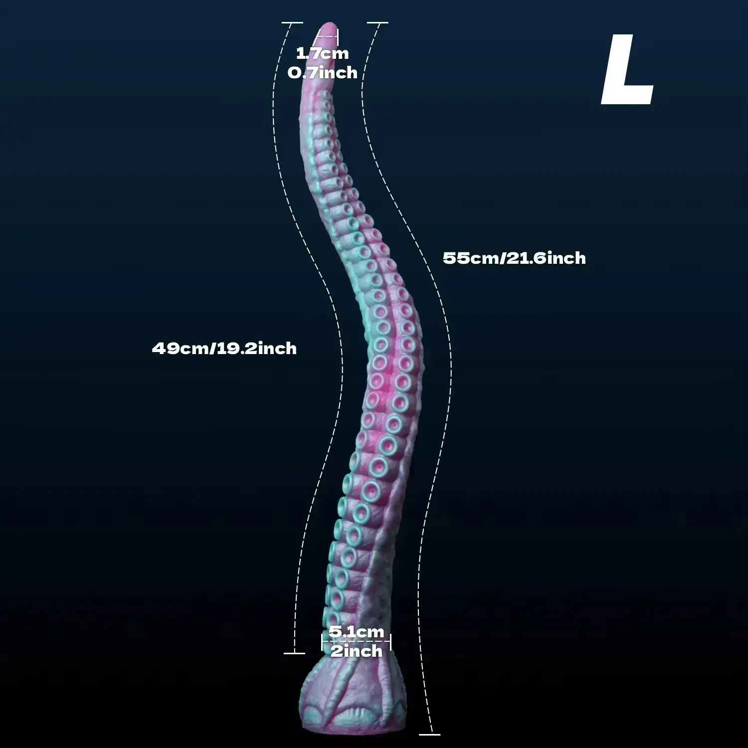 plug anal large base ventouse