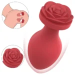 plug anal pour exploration