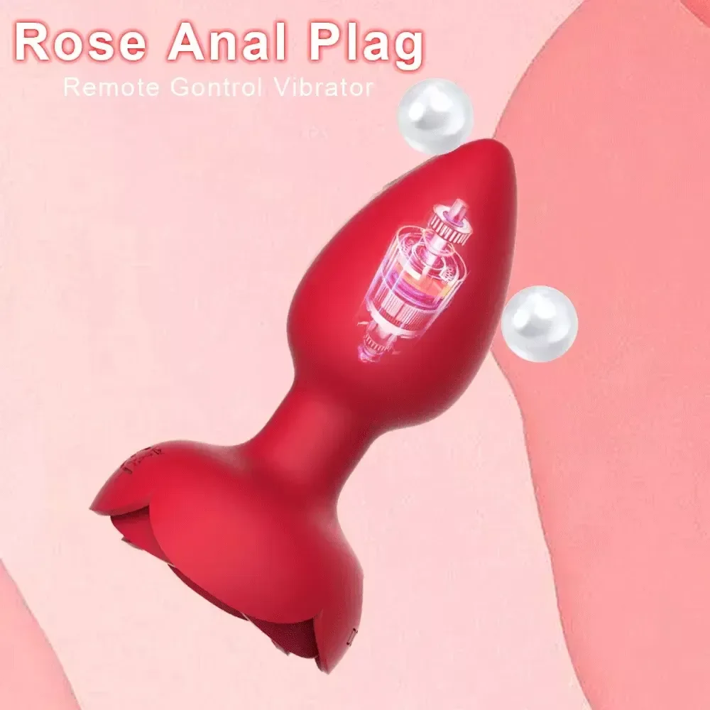 plug anal rose 10 modes vibrations