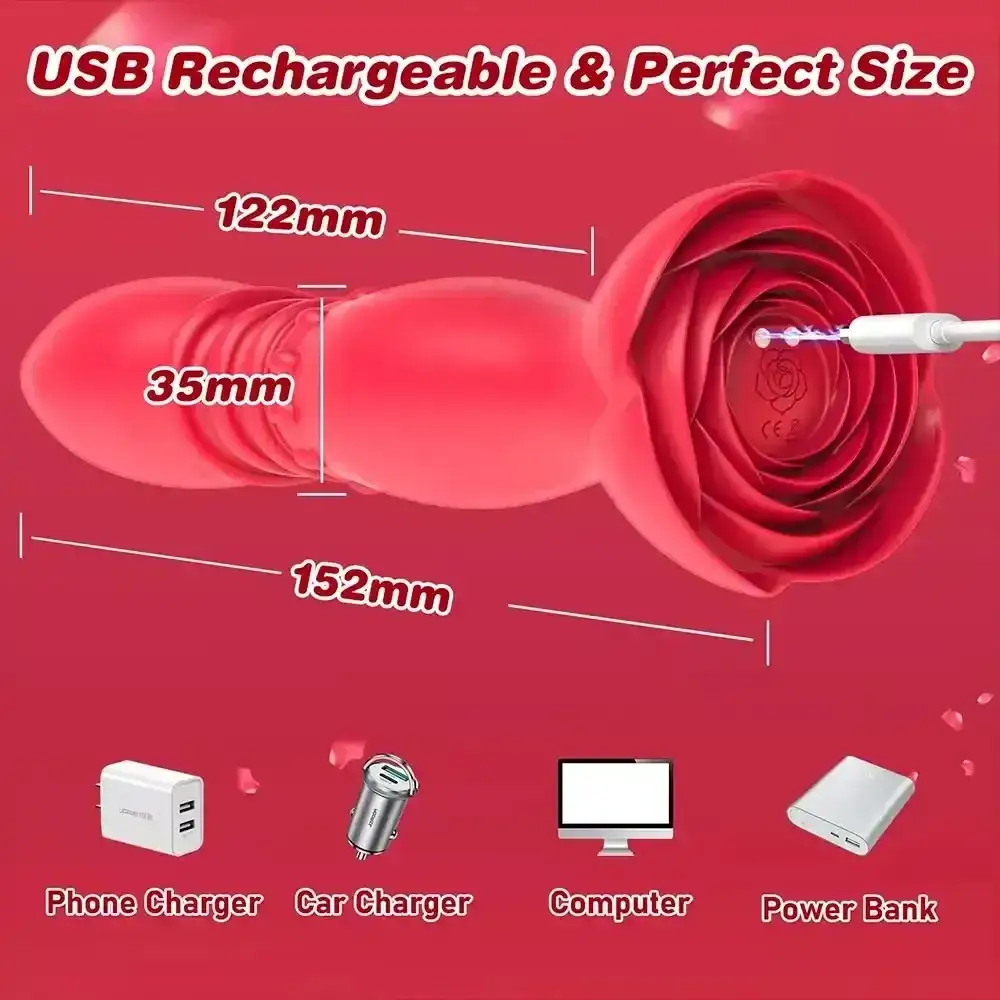 plug anal rose téléscopique vibration modes