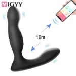 plug anal télécommandé avec câble de chargement