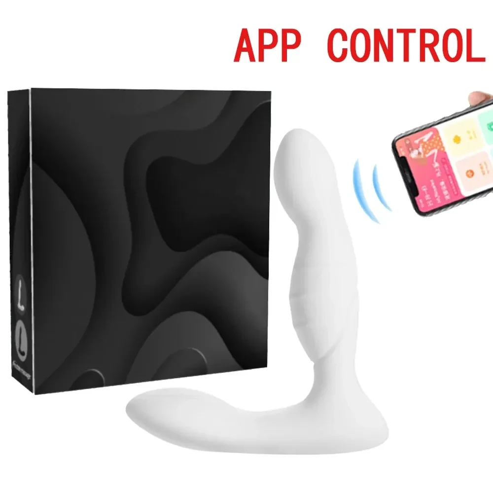 plug anal telecommande controle sans fil 10m
