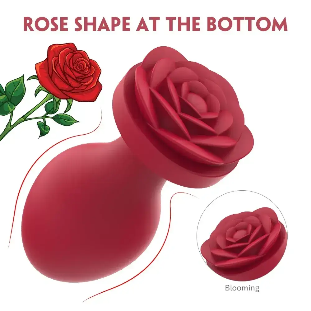 set de plugs anals en silicone