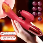 sextoy double stimulation vaginale externe