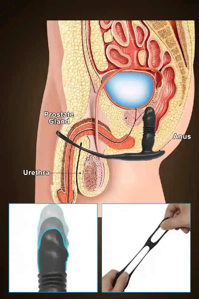 stimulateur prostate silicone controle par app